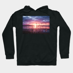 Let them shine. Hoodie